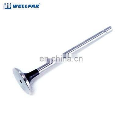 High Quality 7701471354 / 7701471379 / 7701473354 / 7701473355  Engine Valve for RENAULT