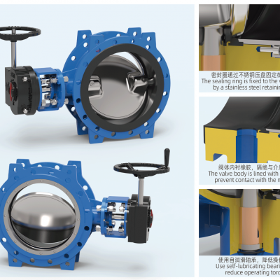Double Eccentric Butterfly Valve DN50-1200 High Performance for Water Treatment Plants photo-3