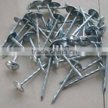 umbrella head Roofing Nails 001