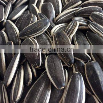 Chinese sunflower seeds, 5009 sunflower seeds