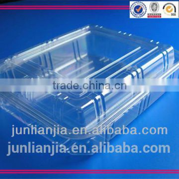 High class plastic blueberry toast packaging container