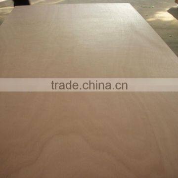 Bs1088 3mm Marine Plywood photo-4