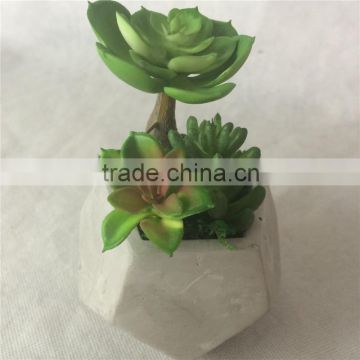 2016 hot indoor artificial mixed succulent plant in concrete pot