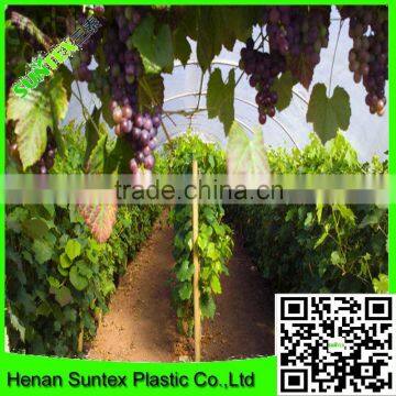Greenhouse Covering Film/blue Plastic Greenhouse Film/vegetable Greenhouse Film