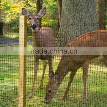 Plastic Netting Protected Deer From Damage & Ideal for Seasonal photo-3