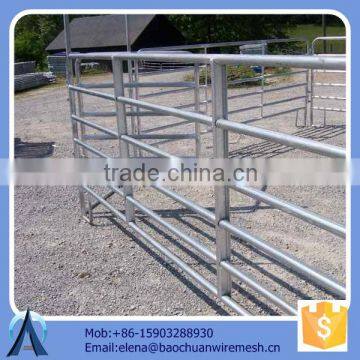 electric fence for sheep