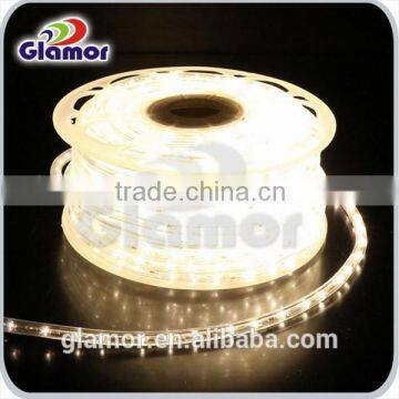 LED Rope Light With CE Certificate IP54 High Lumen