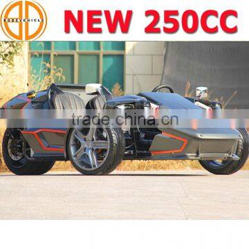 NEW Chinese Three Wheel Motorcycle 4 Gears 3 Wheel Motorcycle With One Reverse Gear,manual Cluth 250cc (MC-369) photo-5