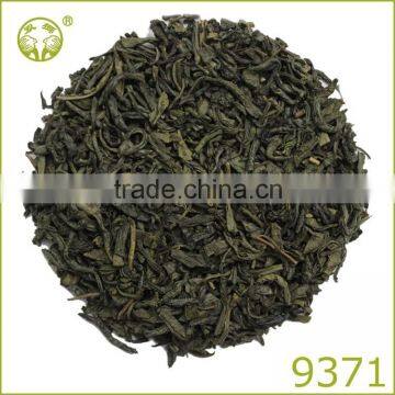 china green tea 9371 EL TAJ quality with EU standard