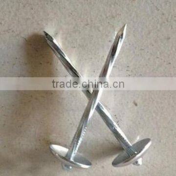 Decorative electric galvanized twisted shank umbrella roofing nails