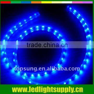 Blue color 230V LED strip light Topsung lighting decorating china supplier led christmas lights wholesale