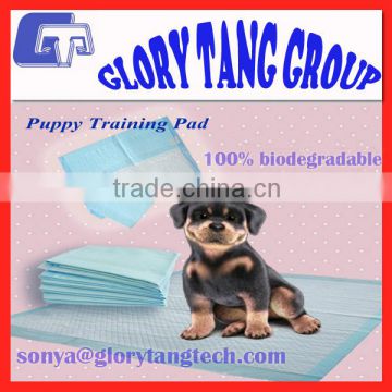 2016 New Arrival training pads, 100% biodegradable puppy training pad                        
                                                Quality Choice