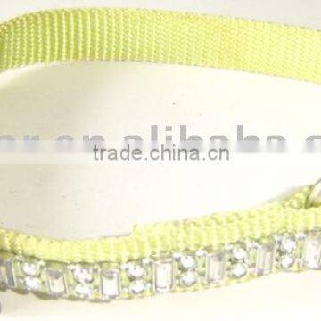 Dog collar / cat collars
