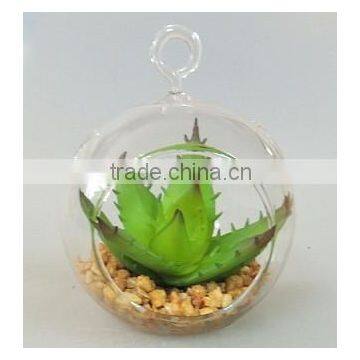 Made in China New Arrival Hanging Glass Ball Succulent