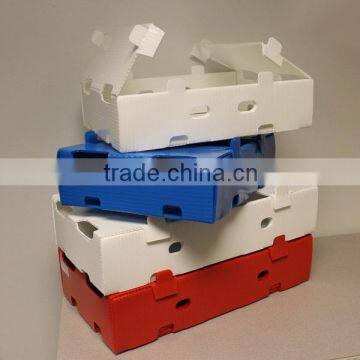 Vegetables/Fruit PP Plastic Corrugated Tray