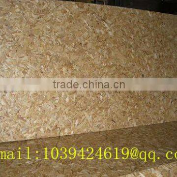 Linyi China 16.5mm E1 Osb Guanlin Wood Factory photo-5