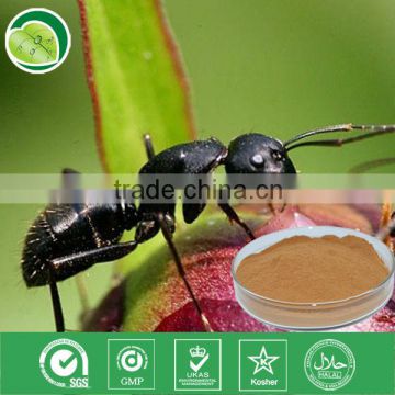 10:1,polyphenols,Formic acid/black ant extract powder