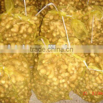 Chinese Low Price Ginger
