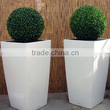 Hot sale green color preserved boxwood balls