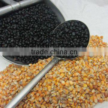 Corn Roasting Service