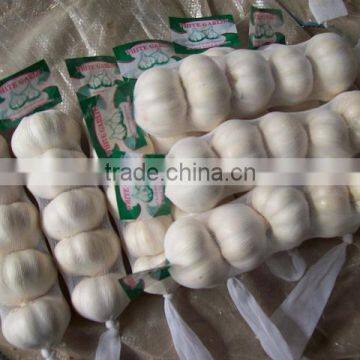 Chinese high quality fresh pure white garlic or normal white garlic dry garlic