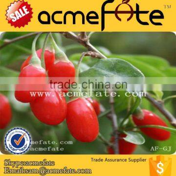 High Quality Grown in Ningxia Organic Dried Goji Berry photo-3