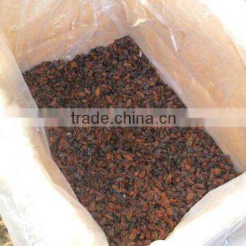 DRY INDUSTRIAL RAISIN FROM INDIA photo-4