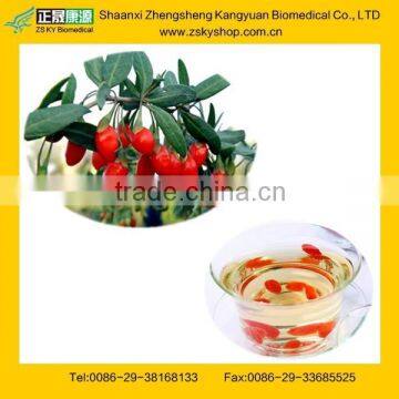 Super Quality Import Goji Berries From GMP Supplier