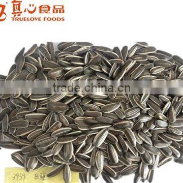 Good Quality sunflower seeds 3939 of Market Price