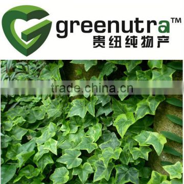 Ivy Extract/Hederagenin C /Hedera Helix Extract