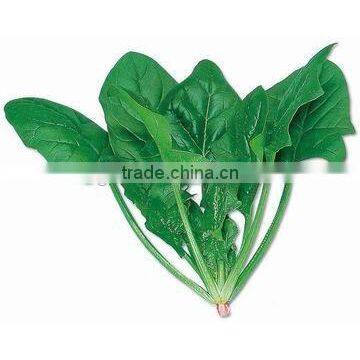 Hybrid f1 seeds for cultivation