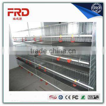 Factory supply good quality galvanized welded wire automatic chicken house layer cages