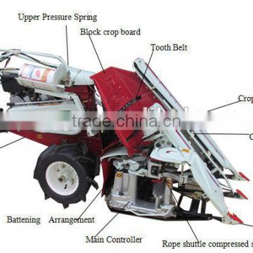 Professional Chinese Manufacturer for MINI Grain Reaper/+86 189 3958 0276