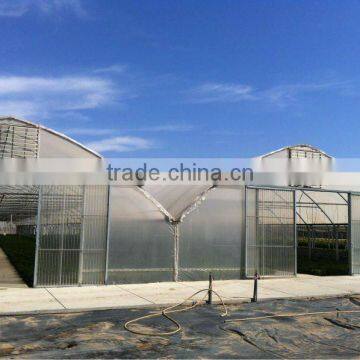 China Greenhouse for Sale