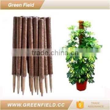 Garden Flower Pot Plant Stake Sturdy Stake