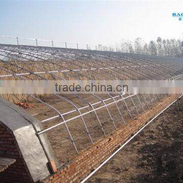 Galvanized Iron for Greenhouse photo-3