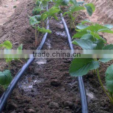 Drip Irrigation Pipe Price photo-4
