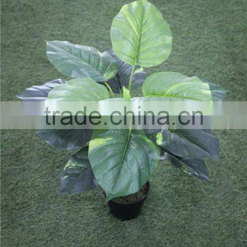 brand name artificial bonsai plants artificial wild taro bonsai decor