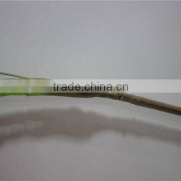 Hot Sale Brand Name Decorative Artificial Decoration Leaves photo-3