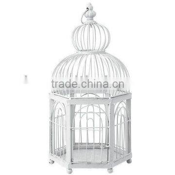 Wire birdcage