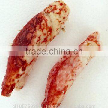 Hairy Snow Crab Antarctica photo-5