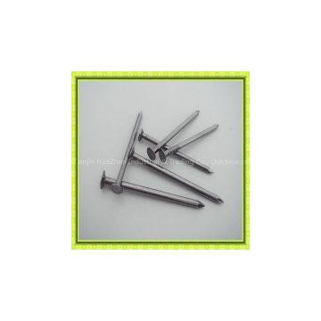 Hot Dipped Galvanized Common Wire Round Nail Manufacturers photo-2