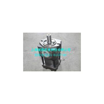 IGP5-H063F Internal Gear Pump photo-2