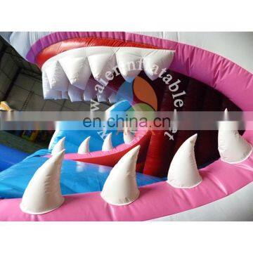 Giant Inflatable Water Slide, Shark Water Slide With Pool, Aier Inflatables photo-3