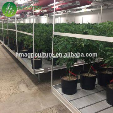 High Quality ebb and flow rolling plastic trays hydroponic flood seedbed