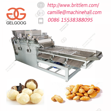 Industrial Almond Walnut Cashew Chopping Machine to Make Peanut Chikki in Plant