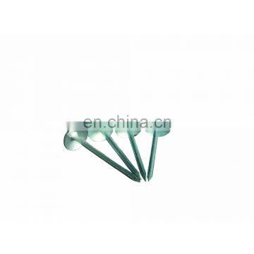 High Quality Galvanized zinc plated Roofing Nail