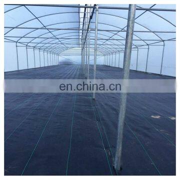 High Quality Cheap Price Agricultural Indoor Solar Greenhouse Frame With Plastic Sheet Tent photo-3