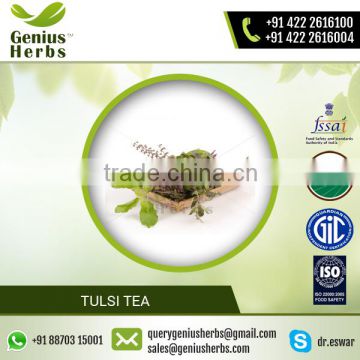 Fine Quality Tulsi Tea for Healthy Body from Top Supplier