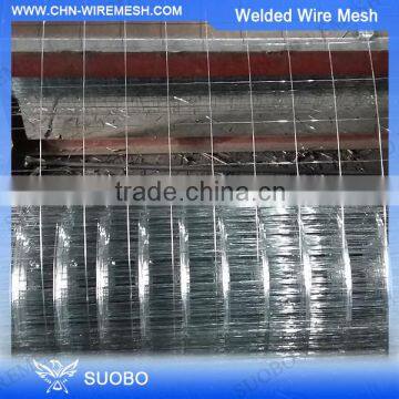 Hot Sale!!! 10X10 Welded Wire Mesh Roll, 3x3 Welded Wire Mesh